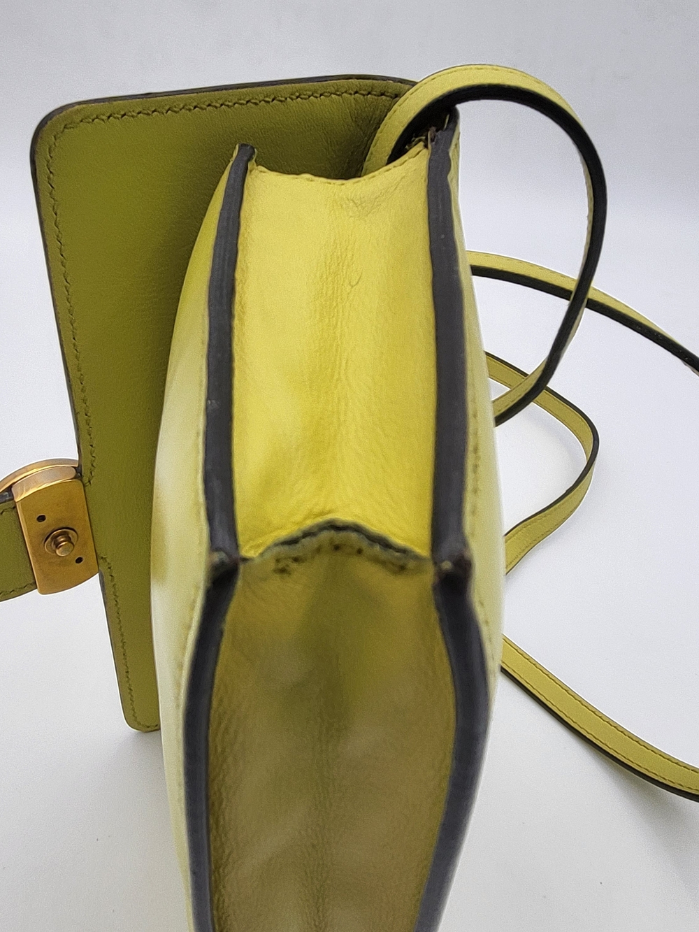 GUCCI Moon Calfskin GG Interlock Icon Mimosa Flower Small Crossbody, Auth w/COA. - Picture 15 of 16